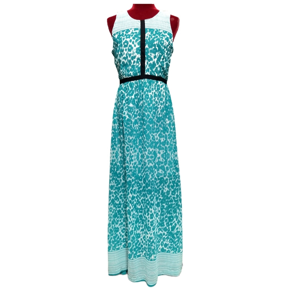Joy & Co maxi dress